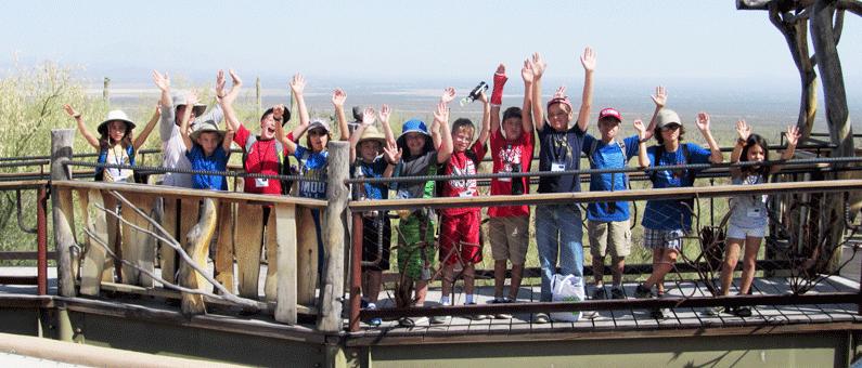 Group of schoolchilden on wooden bridge